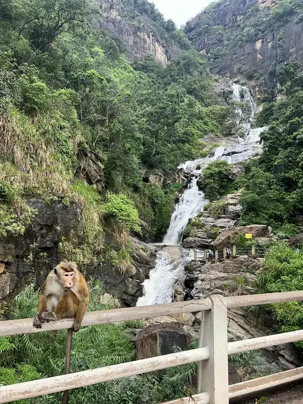 Cascade Sri Lanka